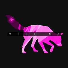 meet me (synktra remix)