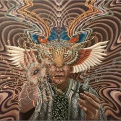 Golomp in Dub - The Meteore