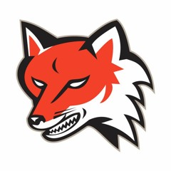Raging Foxx (Dubstep and riddim mix by RedFoxx)