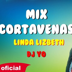 MIX CORTAVENAS  CUMBIAS SUREÑAS LINDA LIZBETH DJ YO