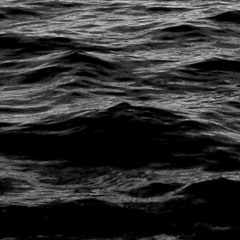 The Sea (feat. BlvckChvrch)