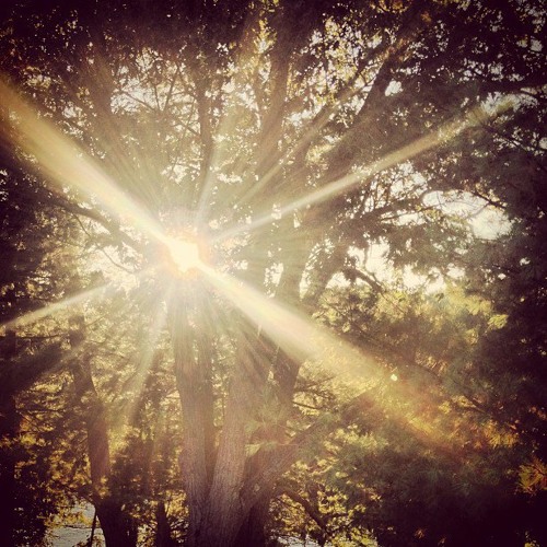 spring D&B ChillMix09