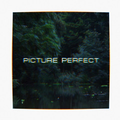 picture perfect [prod. Riley Winter]