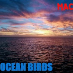 Ocean Birds..