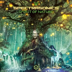 Spectra Sonics - Spirit of Nature : OUT NOW on Maharetta Records