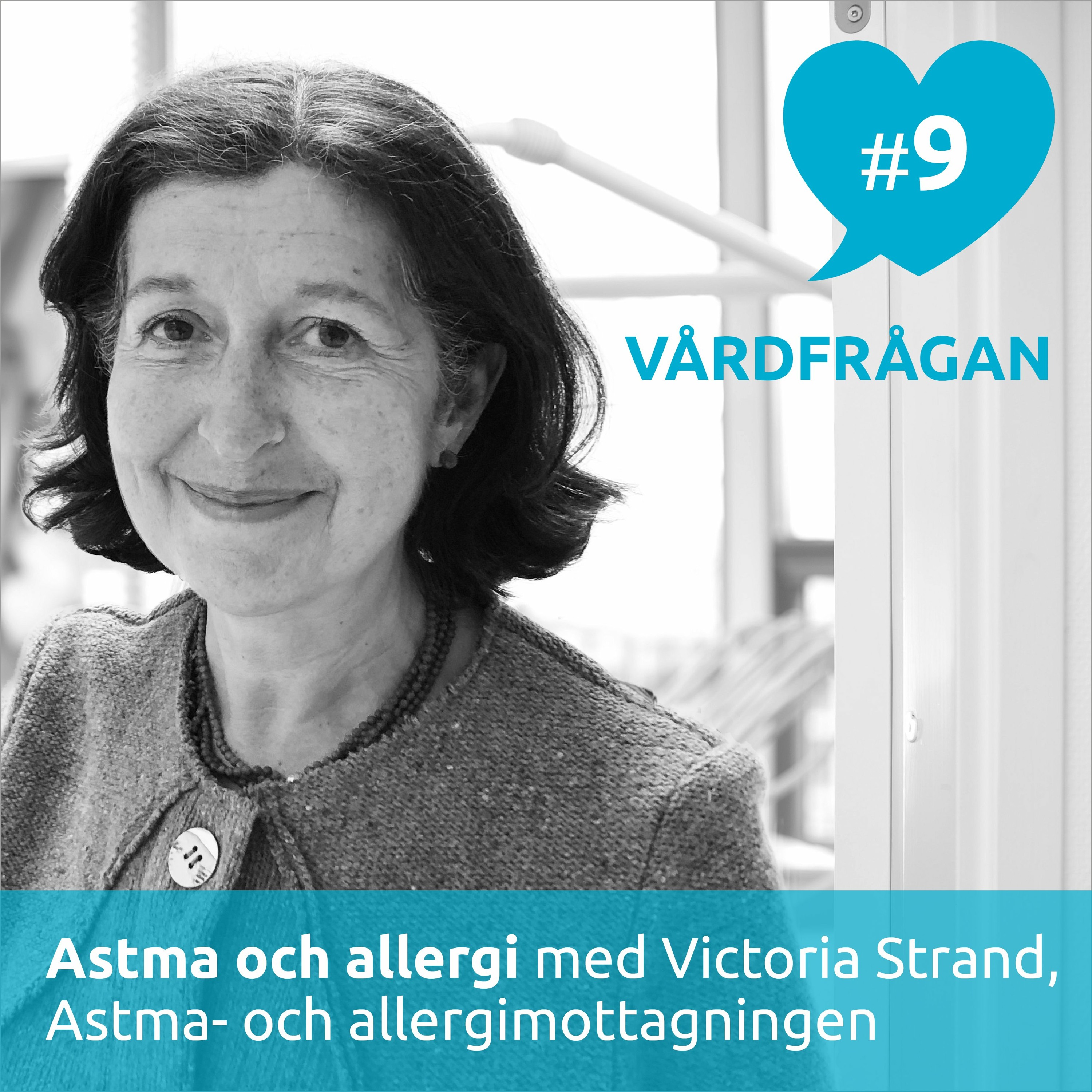 Vårdfrågan
