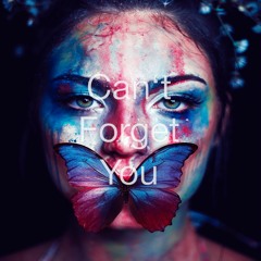 Can't Forget You