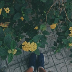 Em đừng...