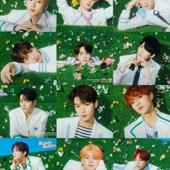 더보이즈(THE BOYZ)THE BOYZ 2nd Single Album [Bloom Bloom]