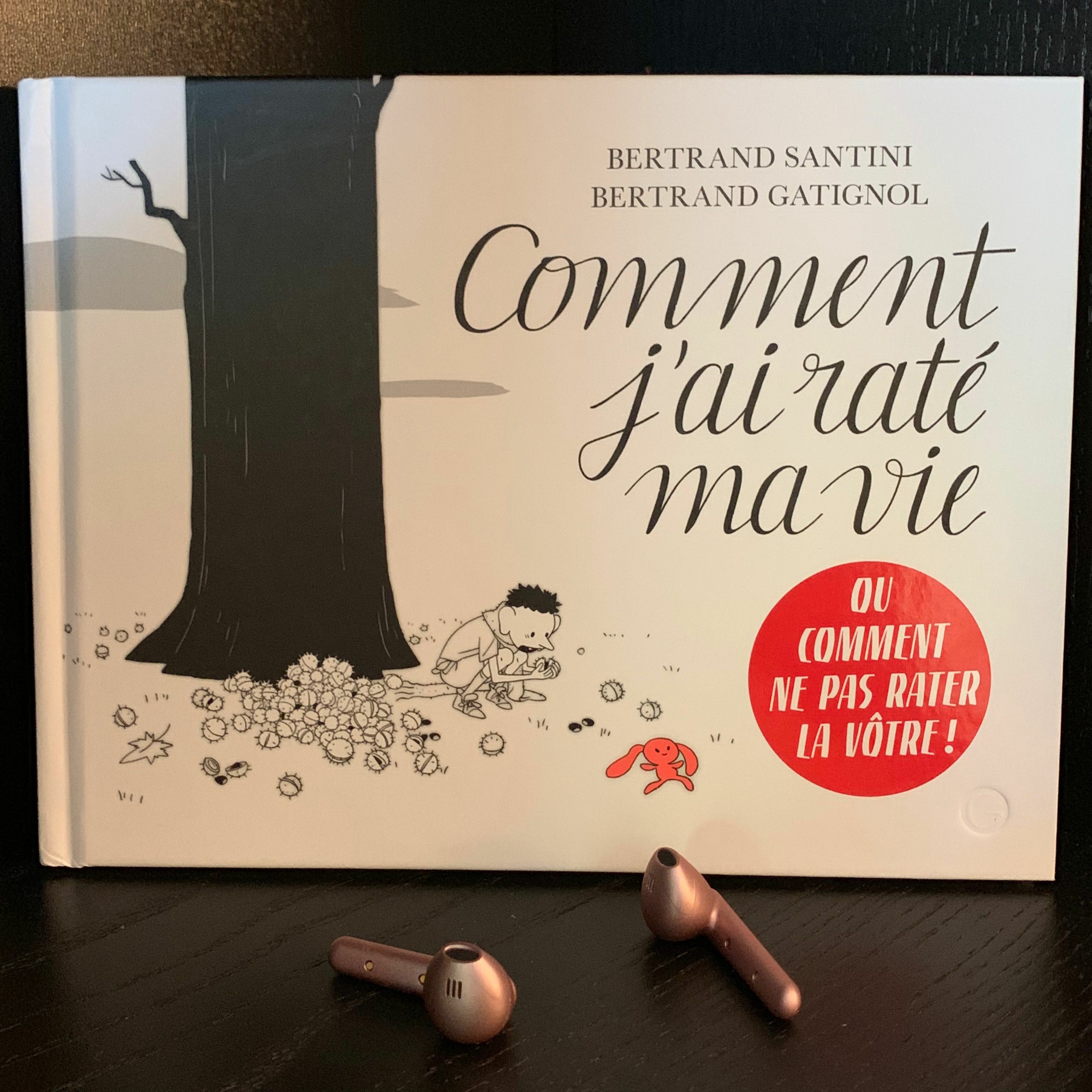 Comment J'ai Raté Ma Vie, de Bertrand Santini et Bertrand Gatignol episode artwork