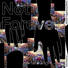 Dave Eleanor - Not Forever (Skiclub Toggenburg Remix)