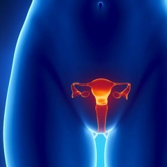 Calvin Harris- How deep is your love (H@lv3 Remix)