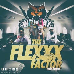 WILDCAT SOUND - THE FLEXX FACTOR [2019 MIXTAPE FEAT VYBZ KARTEL, STYLO G, SQUASH 6IIX BOSS & MORE]
