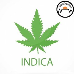 Indica (Instrumental)