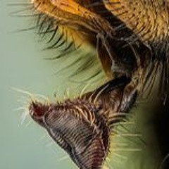 They Make It Easy To Hate Them