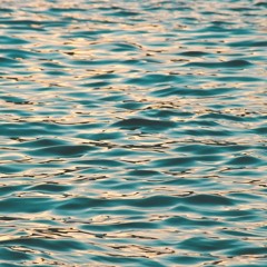 acca (KINKA+NORI)- Ripple