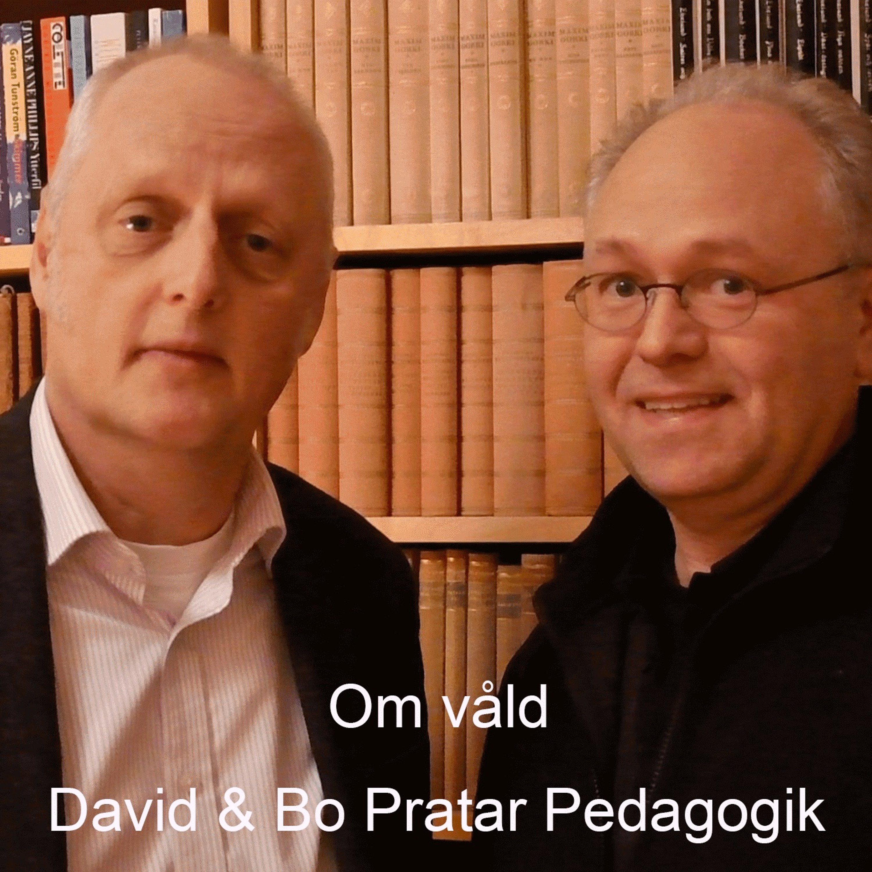 David & Bo Pratar Pedagogik