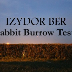 Izydor Ber - Rabbit Burrow Tester (Dance Project)