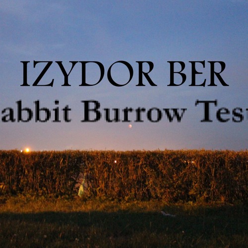 Izydor Ber - Rabbit Burrow Tester (Dance Project)