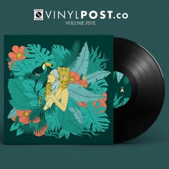 Vinyl Post: Volume Five