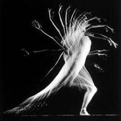 Daily Playlist