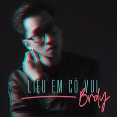 Liệu Em Có Vui - Brdy