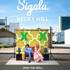 Sigala, Becky Hill - Wish You Well (MATRIXX ELECTRO REMIX)