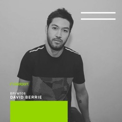 BP/M108 // David Berrie
