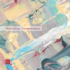 PREMIERE: Ochu Laross - Gravity Of Reality [MCD042]