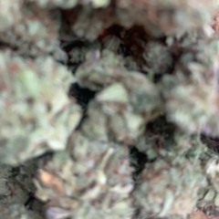 I'm On It (prod. By BlackMayo)