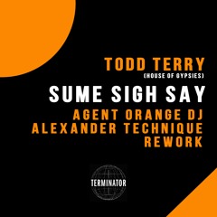 Todd Terry & House Of Gypsies - Sume Sigh Say (Agent Orange DJ & Alexander Technique Remix)