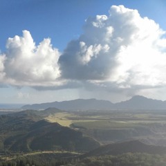 Bluegrass, Folk, and Real Country