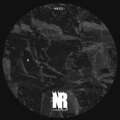 Premiere: Non Reversible - Diorite [NRS01]