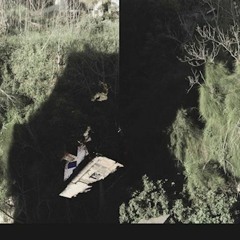 Renata - UDV - 24-5-19