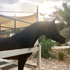 لاحول ولاقوه الا بالله مكرر