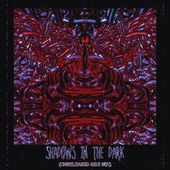 Shadows in the dark (Unreleased mini mix)