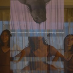 013 genesida Pesonamu