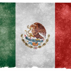 ROCASH X LoCo X S1 -REALITY