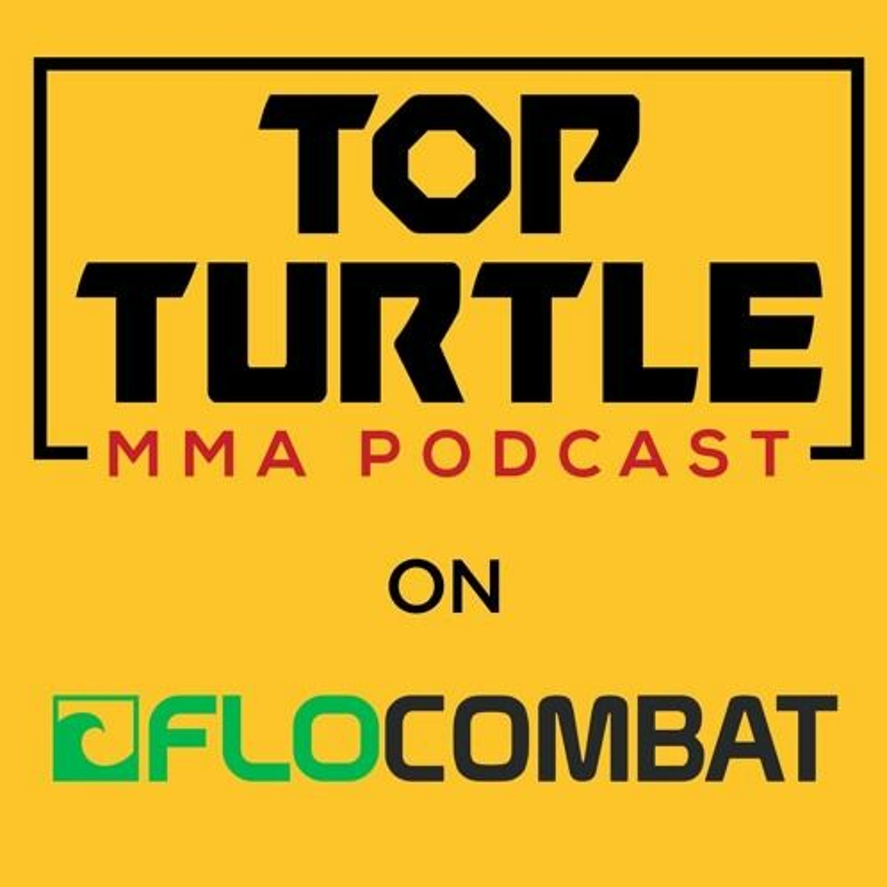 Top Turtle MMA