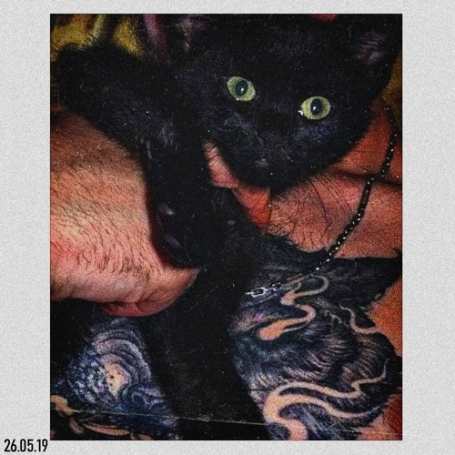 ЧЁРНЫЙ КОТ
