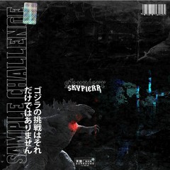 "DIGITALS" (Skypierr Sample Challenge)