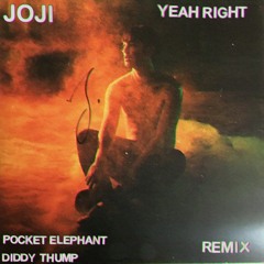 joji - yeah right (pocket elephant & diddy thump remix) (free dl:)