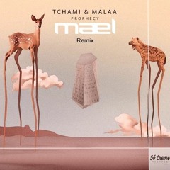 TCHAMI & MALAA - Prophecy (Mael Remix)free download