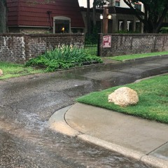 what a wonderful world