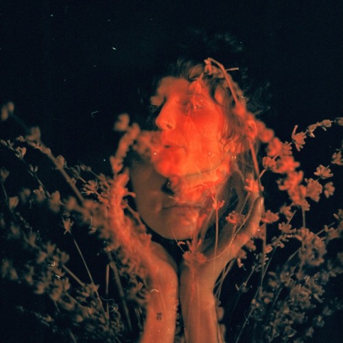 Royal & The Serpent X Marky Style - Salvador Dali