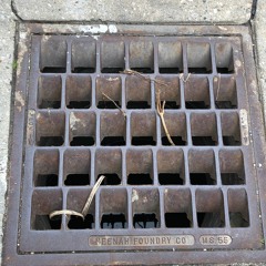 In the Field - 5/25/19