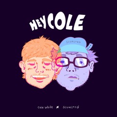 Hey Cole!