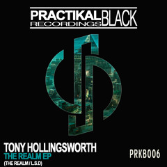 PRKB006 : Tony Hollingsworth - The Realm (Original Mix)