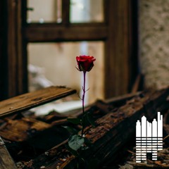 Your EDM Mix with Mazare - Volume 75