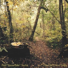 The Old Forest Trail 2